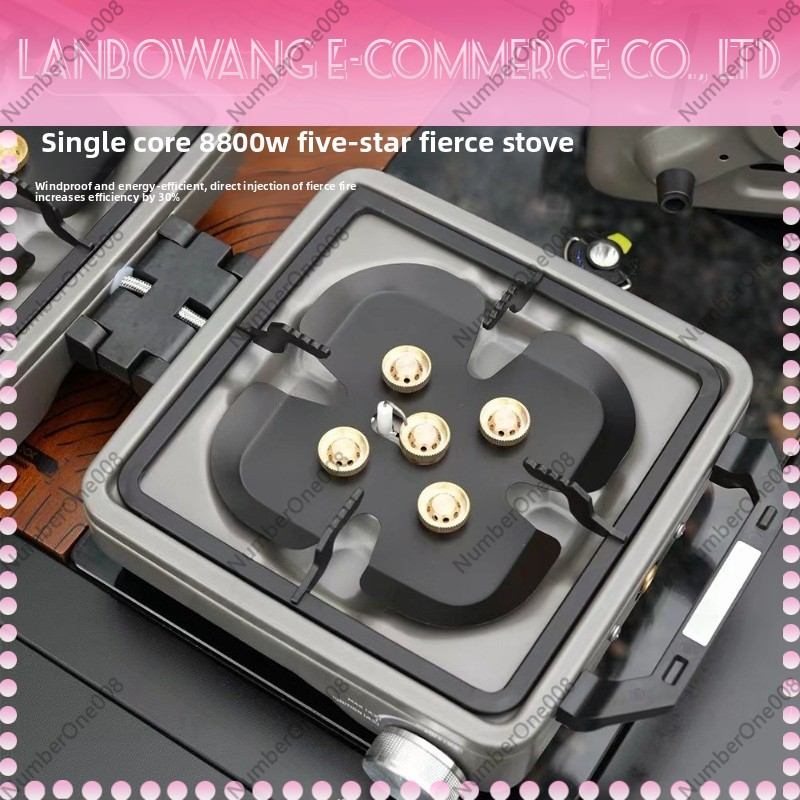 Réchaud de camping double brûl - Camping Cooking Gas avis et prix